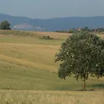 In Dom wakacyjny *