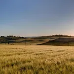 In * Cortona