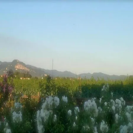 בית נופש In קורטונה