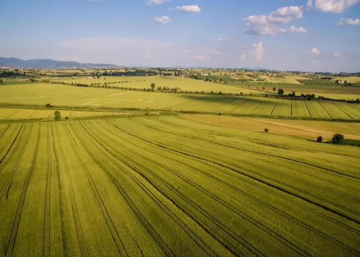 In Dom wakacyjny Cortona