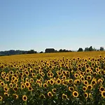 In *