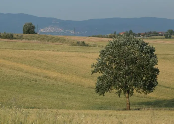In Σπίτι διακοπών *